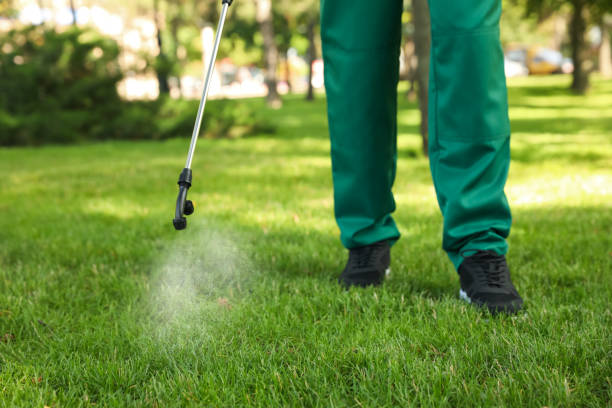 Best Wildlife Control Services  in Port Republic, NJ