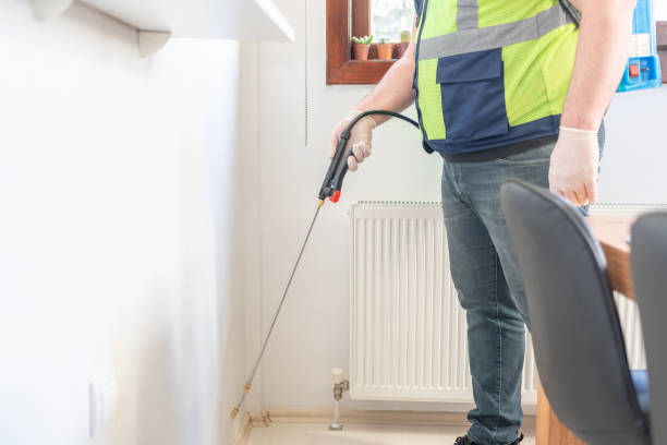 Best Termite Control Services  in Port Republic, NJ