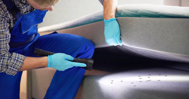 Best Local Pest Control Services  in Port Republic, NJ