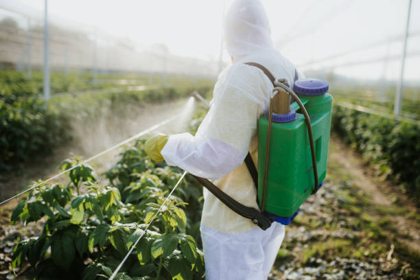 Best Pest Control Near Me  in Port Republic, NJ